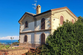 La Volpe Nella Pineta